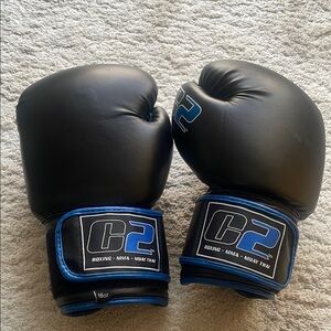C2 Black and Blue Boxing Gloves